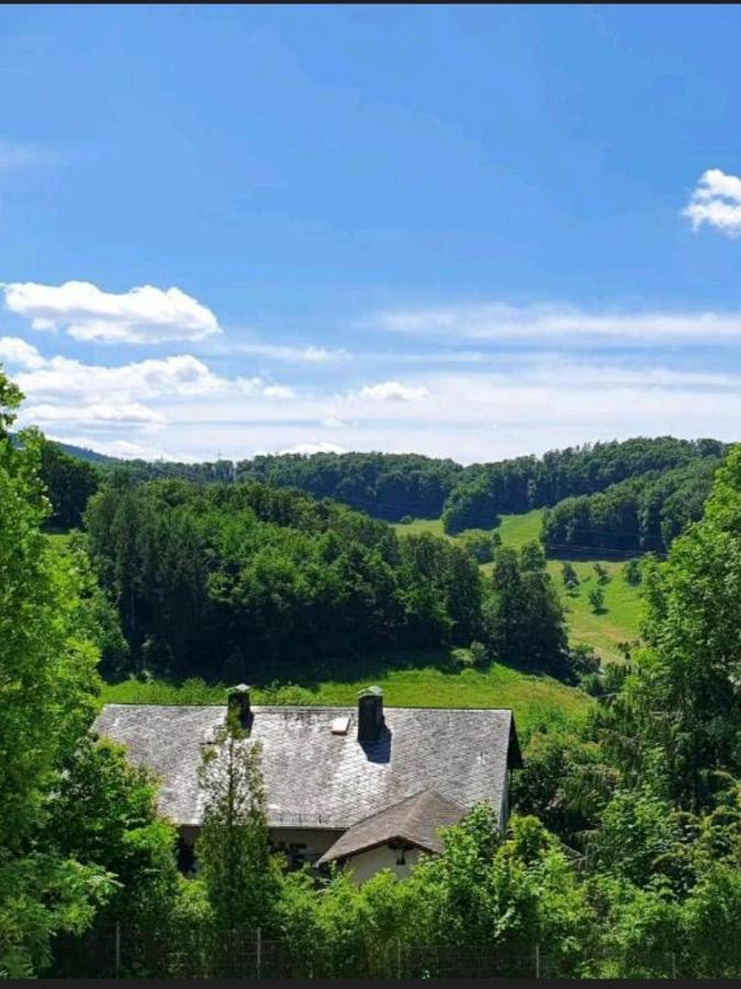Odenwald-Lodge Mit Infrarotsauna Und E-Ladestation Im Naturpark Odenwald "Haus Himmelblau" Reichelsheim Zewnętrze zdjęcie