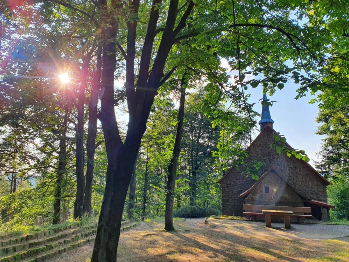 Odenwald-Lodge Mit Infrarotsauna Und E-Ladestation Im Naturpark Odenwald "Haus Himmelblau" Reichelsheim Zewnętrze zdjęcie