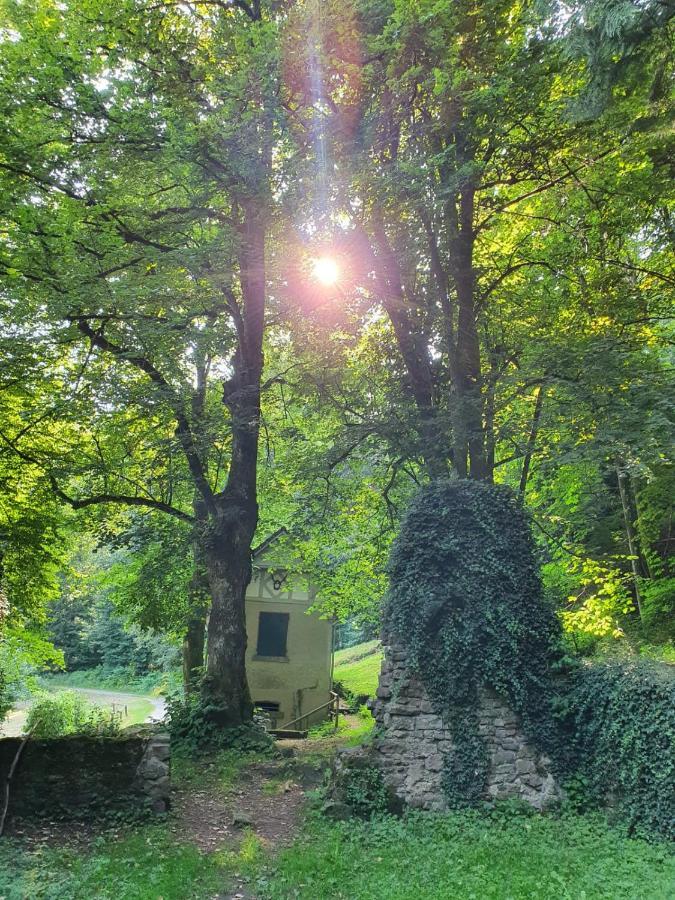 Odenwald-Lodge Mit Infrarotsauna Und E-Ladestation Im Naturpark Odenwald "Haus Himmelblau" Reichelsheim Zewnętrze zdjęcie