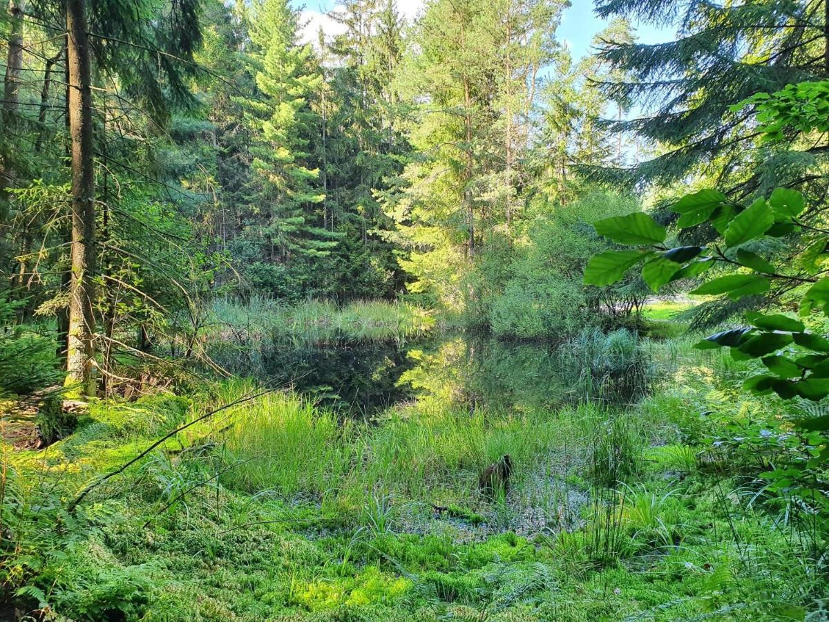 Odenwald-Lodge Mit Infrarotsauna Und E-Ladestation Im Naturpark Odenwald "Haus Himmelblau" Reichelsheim Zewnętrze zdjęcie