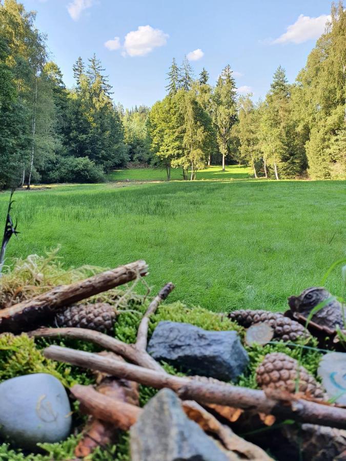 Odenwald-Lodge Mit Infrarotsauna Und E-Ladestation Im Naturpark Odenwald "Haus Himmelblau" Reichelsheim Zewnętrze zdjęcie